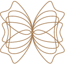 Abstrakte Zeichnung von einem Schmetterling als Linie